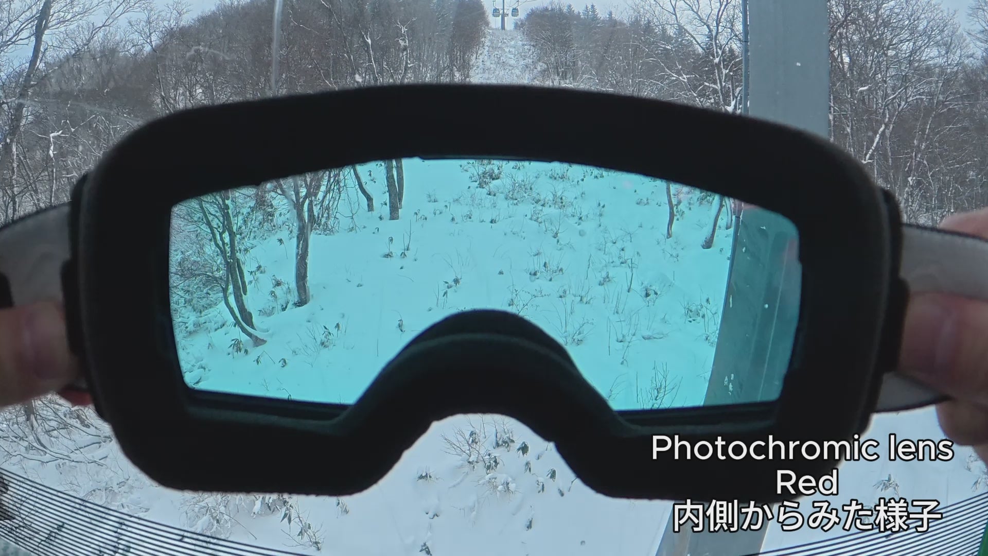 Vent Black Photochromic lens Red – OWL OPTICAL